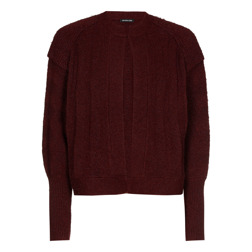 Caroline Biss dames bolero Paars