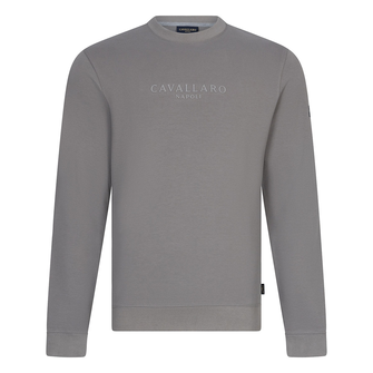 Cavallaro Donkergrijs