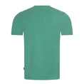 Cavallaro Groen