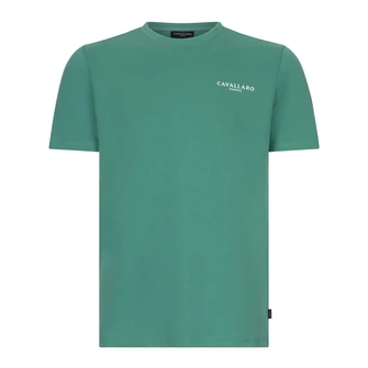 Cavallaro Groen