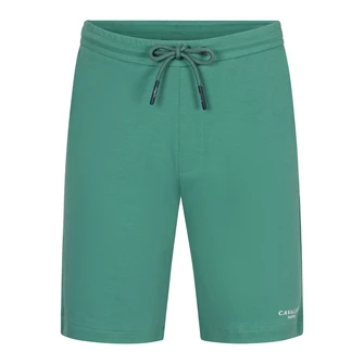 Cavallaro Groen