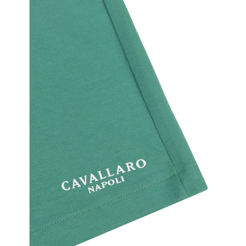 Cavallaro Groen