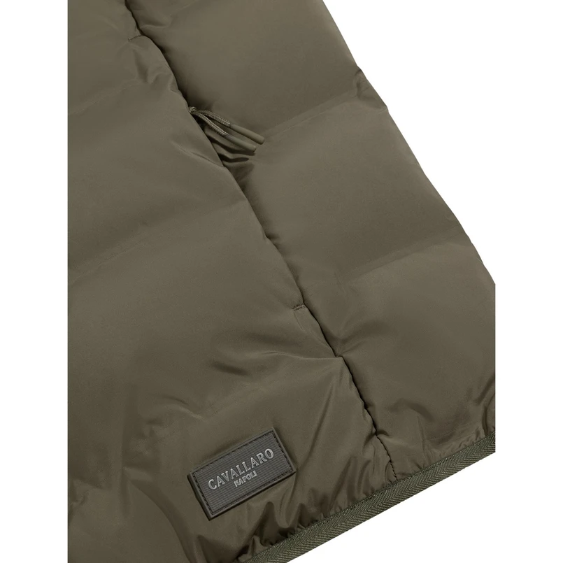 Cavallaro Heren Jas 112251000 Groen