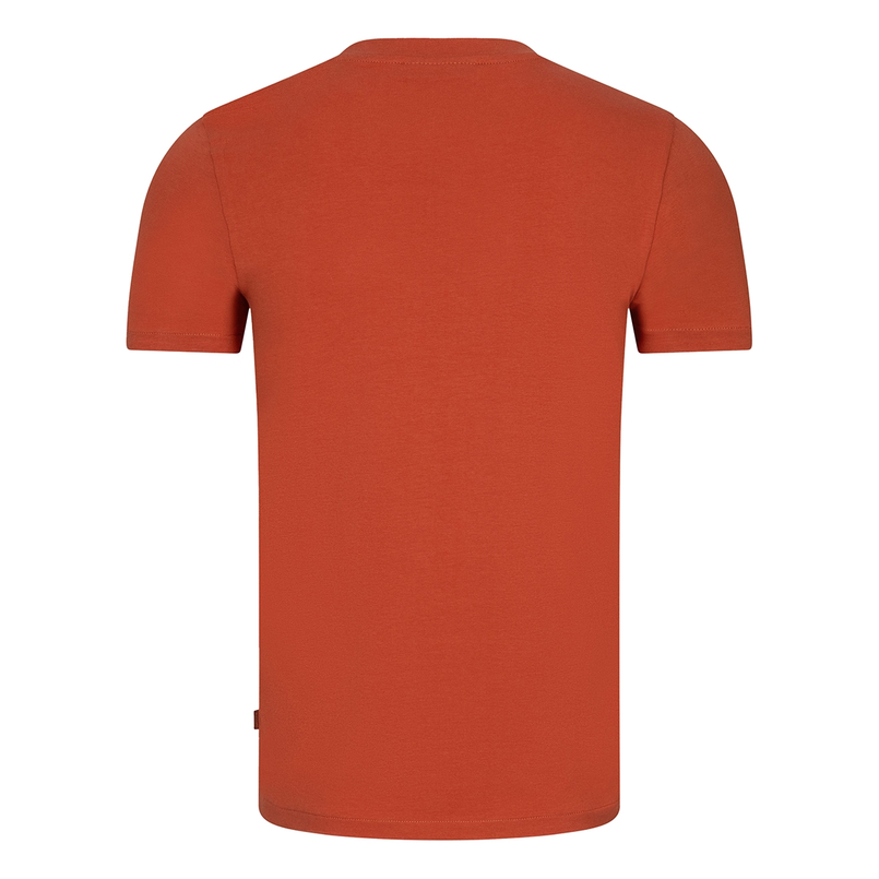 Cavallaro Heren T-shirt 117251000 Oranje