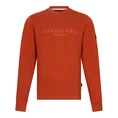 Cavallaro Heren Trui 120251000 Oranje
