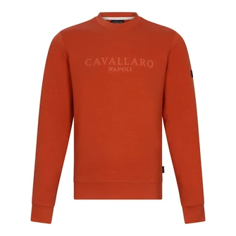Cavallaro Heren Trui 120251000 Oranje