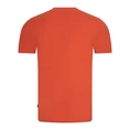 Cavallaro Oranje