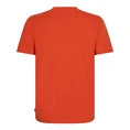 Cavallaro Oranje