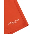 Cavallaro Oranje