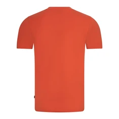 Cavallaro Oranje