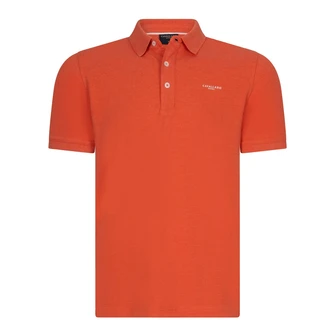 Cavallaro Oranje