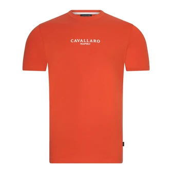 Cavallaro Oranje
