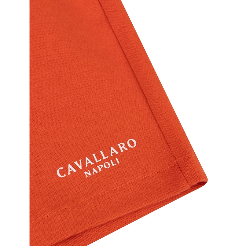 Cavallaro Oranje