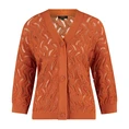 Claudia Strater Dames Vest Cs12-25170 Brique