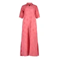 Claudia Strater Roze