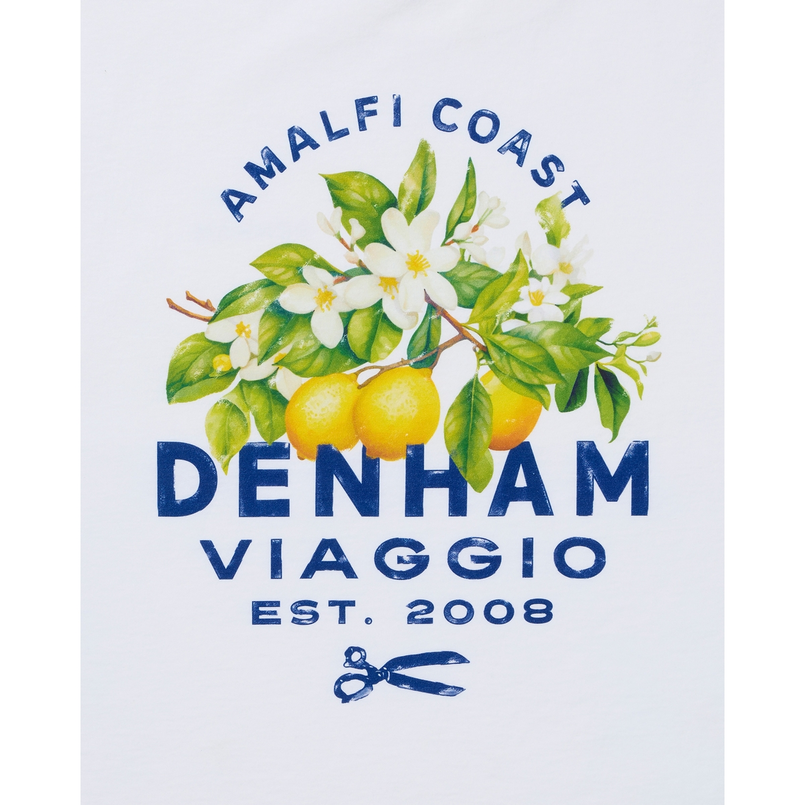 Denham Wit