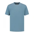 Dstrezzed Heren T-shirt 203010-ss25 Bleu