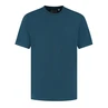 Dstrezzed Heren T-shirt 203072-aw25 Petrol