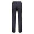 Gardeur Blauw dessin