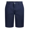 Gardeur Blauw dessin
