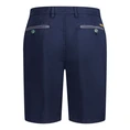 Gardeur Blauw dessin