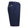 Gardeur Blauw dessin