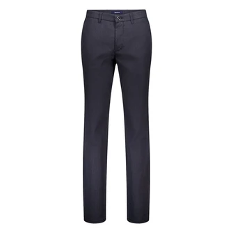 Gardeur Blauw dessin