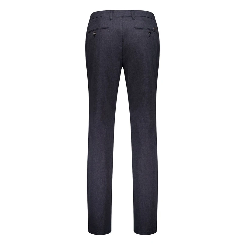 Gardeur Blauw dessin