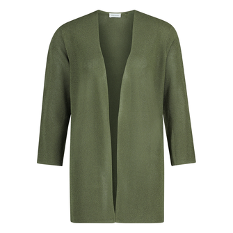 Gerry Weber Dames Vest 530147-35741 Groen