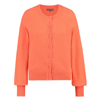 Ivy & You Dames Vest Strw-01vestjer-hals Oranje