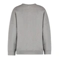 Max Mara Weekend Dames Trui 2515921021600lalla Lichtgrijs