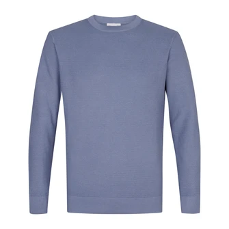 Michaelis Bleu