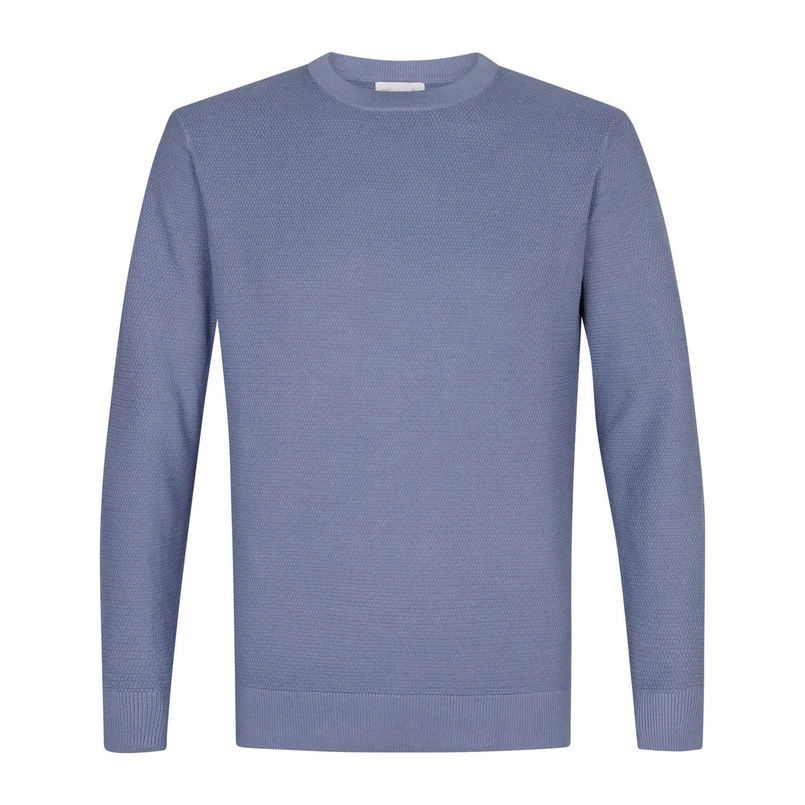 Michaelis Bleu