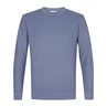 Michaelis Bleu