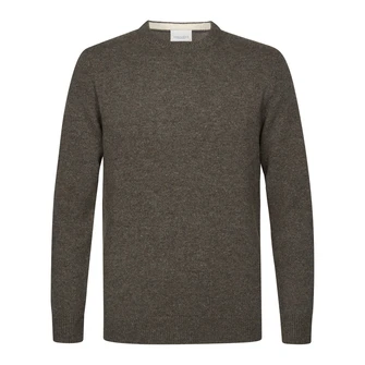 Profuomo Bruin