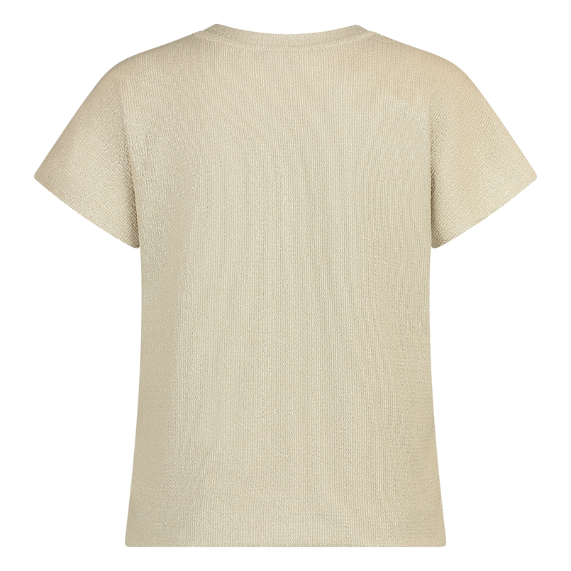 Sanne Dames Top 25133 Grijs