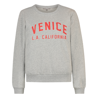 Sanne Dames Trui 25006sweatchestprint Grijs mele