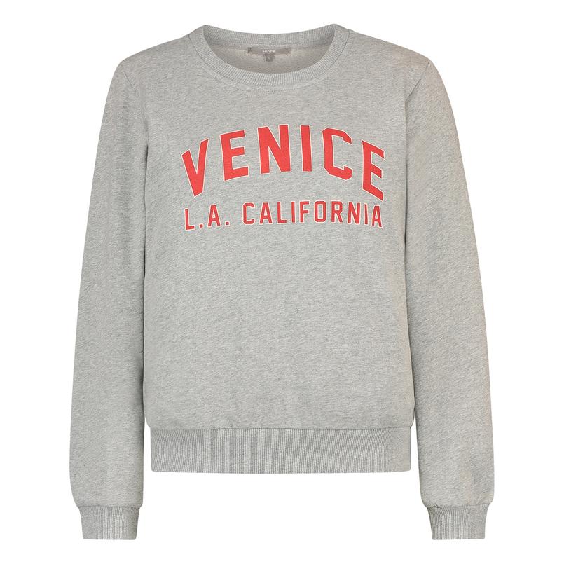 Sanne Dames Trui 25006sweatchestprint Grijs mele