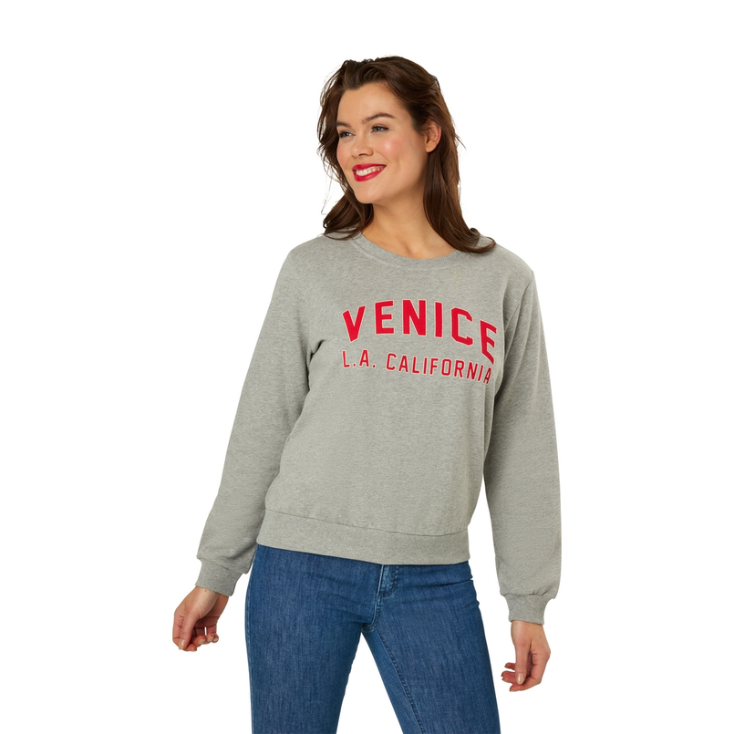Sanne Dames Trui 25006sweatchestprint Grijs mele