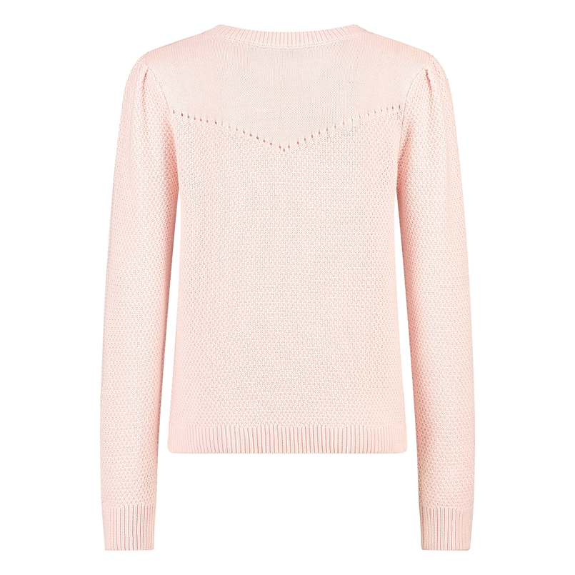 Sanne Dames Trui Aps-110truilmr-hals Roze