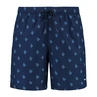 Shiwi Blauw dessin