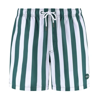 Shiwi Groen