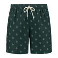 Shiwi Heren Zwembroek 1525107456 Groen