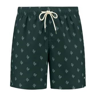 Shiwi Heren Zwembroek 1525107456 Groen