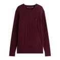 Tommy Hilfiger Bleached blue denim
