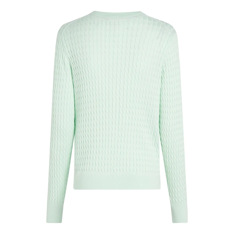 Tommy Hilfiger Dames Trui Ww0ww44993lxy Linde