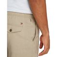 Tommy Hilfiger Heren Short Mw0mw37804rbt Beige