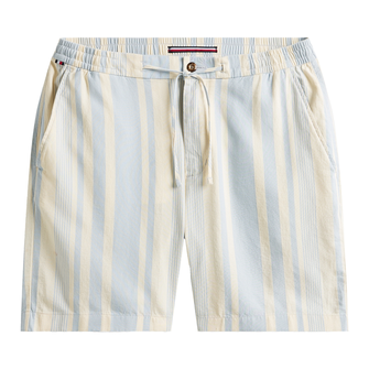 Tommy Hilfiger Heren Short MW0MW406910A4 Bleu