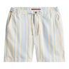 Tommy Hilfiger Heren Short MW0MW406910A4 Bleu