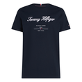 Tommy Hilfiger Heren T-shirt Mw0mw33691dw5 Navy